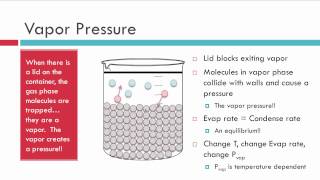 Evaporation Vapor Pressure and Boiling [upl. by Ahseenal334]