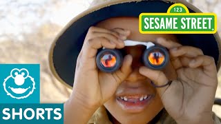 Sesame Street Take A Safari [upl. by Blount]