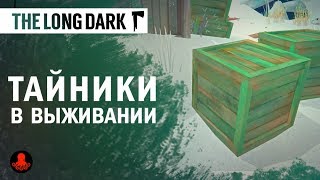 The Long Dark ТАЙНИКИ в Выживании [upl. by Ormsby494]