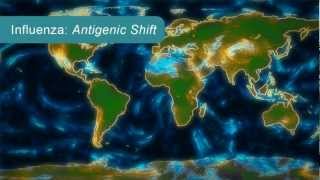 How Influenza Pandemics Occur [upl. by Rior]