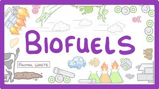 GCSE Physics  Biofuels 12 [upl. by Ahsikan]