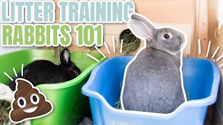 Litter Training Rabbits 101 [upl. by Ahsihat]