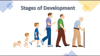 Stages of Physical Development [upl. by Boffa420]