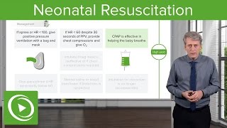 Intro to Neuroanatomy  Neurophysiology  Neuroscience  Central Nervous System [upl. by Jordan]