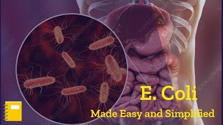 E Coli Bacteria Microbiology  Escherichia Coli  E Coli Disease [upl. by Lorant859]