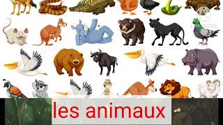 les animaux sauvages et domestiques [upl. by Rosalind]