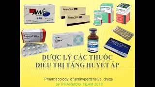 Pharmog SS1  Tập 11  Dược lý về thuốc điều trị tăng huyết áp [upl. by Vina407]