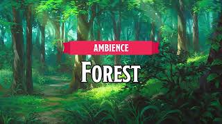 Forest  DampDTTRPG Ambience  1 Hour [upl. by Nyrac]