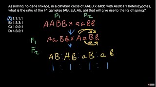 Genotypes and phenotypes ratios explained [upl. by Balcke702]