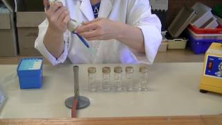 How to create serial dilutions [upl. by Barbaraanne]