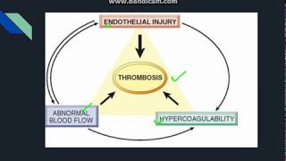 Thrombosis [upl. by Crissie]