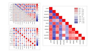 Correlation Plot App [upl. by Aisayt]