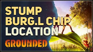 Stump BURGL Chip Location Grounded [upl. by Nimrahc]