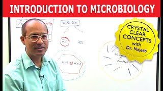 Introduction to Microbiology [upl. by Wentworth]