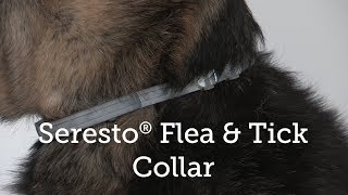 Seresto® Flea and Tick Collar Review [upl. by Rimidalg]