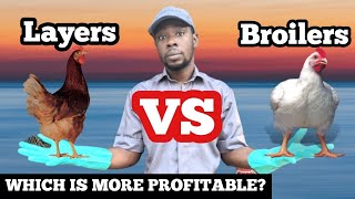 Layer VS Broiler Chicken  Which is More Profitable [upl. by Erreid]