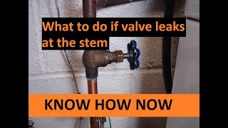 Fix Shut Off Valve Leaking at Stem [upl. by Jermaine]