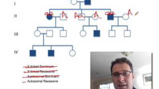 Pedigree Analysis 1 How to solve a genetic pedigree No 1 [upl. by Lynea]