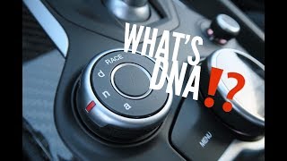 The DNA Driving Modes In The Alfa Romeo Giulia EXPLAINED [upl. by Pirbhai244]