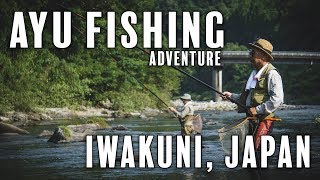 Japanese Ayu River Fishing [upl. by Aneekat700]