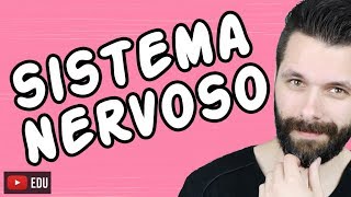 SISTEMA NERVOSO  FISIOLOGIA  Aula  Biologia com Samuel Cunha [upl. by Naveb506]