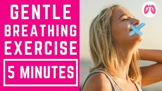 Buteyko Inspired Breathing Exercises  5 Minutes  TAKE A DEEP BREATH [upl. by Sakiv]