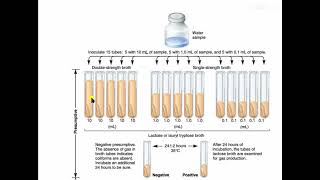 Microbiological Examination of Water MPN [upl. by Rebmak]