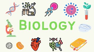 2 A Level Biology  Transport in plants 🌳 [upl. by Aisnetroh]