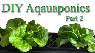 DIY AQUAPONICS System for 10 Gallon Fish Tank Part 2 [upl. by Froh]