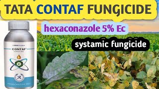 TATA CONTAF FUNGICIDE  TATA CONTAF  HEXACONAZOLE 5� [upl. by Atiana]