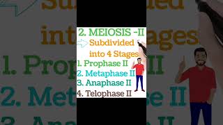 2Meiosis  II।। Subdivided into 4 stages।। watch time kaise badaye [upl. by Enawd]