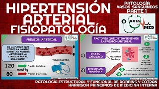 HIPERTENSIÓN ARTERIAL HARRRISON  GuiaMed [upl. by Rosaline655]