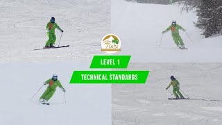 IASI Level 3 Ski Teacher [upl. by Burbank735]