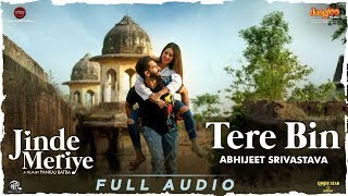 Parmish Verma Tere Bin Full AudioTroy Arif ft Abhijeet SrivastavaSonam B Pankaj BJinde Meriye [upl. by Ilise511]