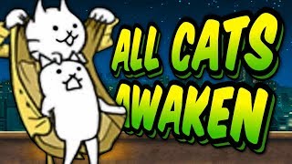 SO MANY TRUE FORMS  Awakens Specials Stages  Battle Cats 27 [upl. by Beata432]