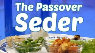 The Passover Seder What to Expect [upl. by Aremahs]