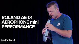 Roland AE01 Aerophone mini Performance and Sounds [upl. by Meagher]