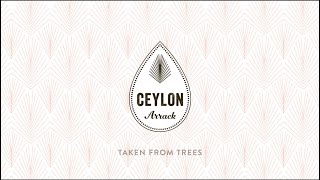 Ceylon Arrack  How its made [upl. by Cinomod]