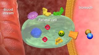 Pharmacology 672 a Laxative Lactulose constipation treatment osmotic purgative [upl. by Ecam]