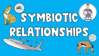 Symbiotic Relationships [upl. by Aurie]