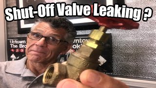 Leaky Shut Off Valve Repair [upl. by Neffets]