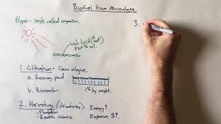 Biodiesel from microalgae [upl. by Eel]