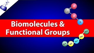 Biomolecules and Functional Groups [upl. by Anahcra]