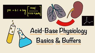 Acid Base Physiology  Part One  Basics  Buffers  Renal Physiology [upl. by Reg]