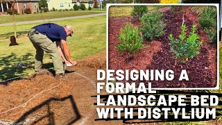 Exciting Landscape Makeover Designing a Formal Bed with Distylium [upl. by Epilif]