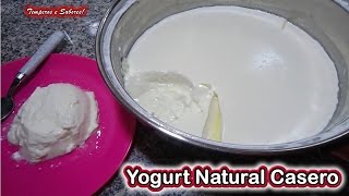 Yogurt natural casero receta super fácil [upl. by Wincer39]