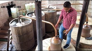 Producción de Mezcal Tour Destilería Los Danzantes [upl. by Nylarat]