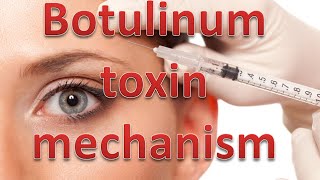 Botulinum toxin mechanism [upl. by Oravla32]