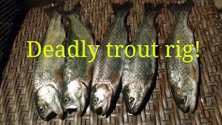 Best rainbow trout rig and power bait [upl. by Akilaz]