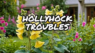 What Happened to My Hollyhocks [upl. by Onailimixam]